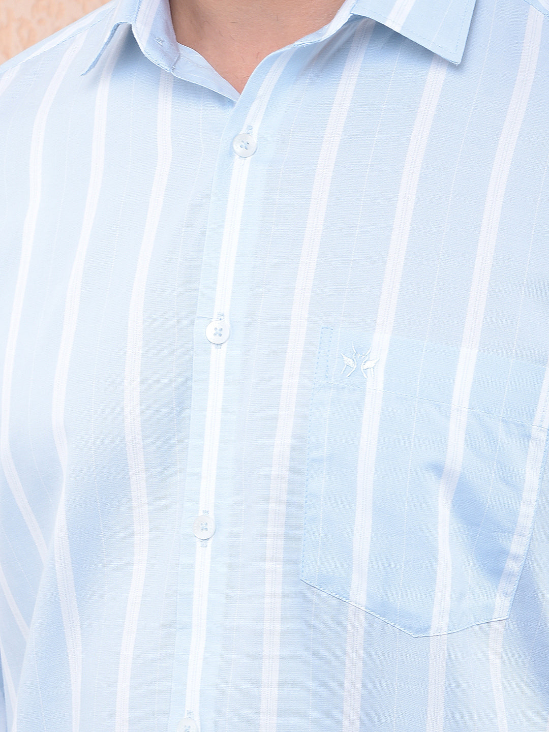 Blue Vertical Striped Shirt
