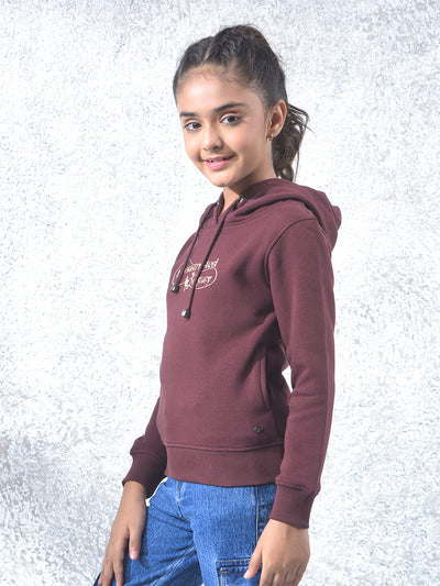 Brown Graphic Print Hooded Neck Knitted Sweatshirt