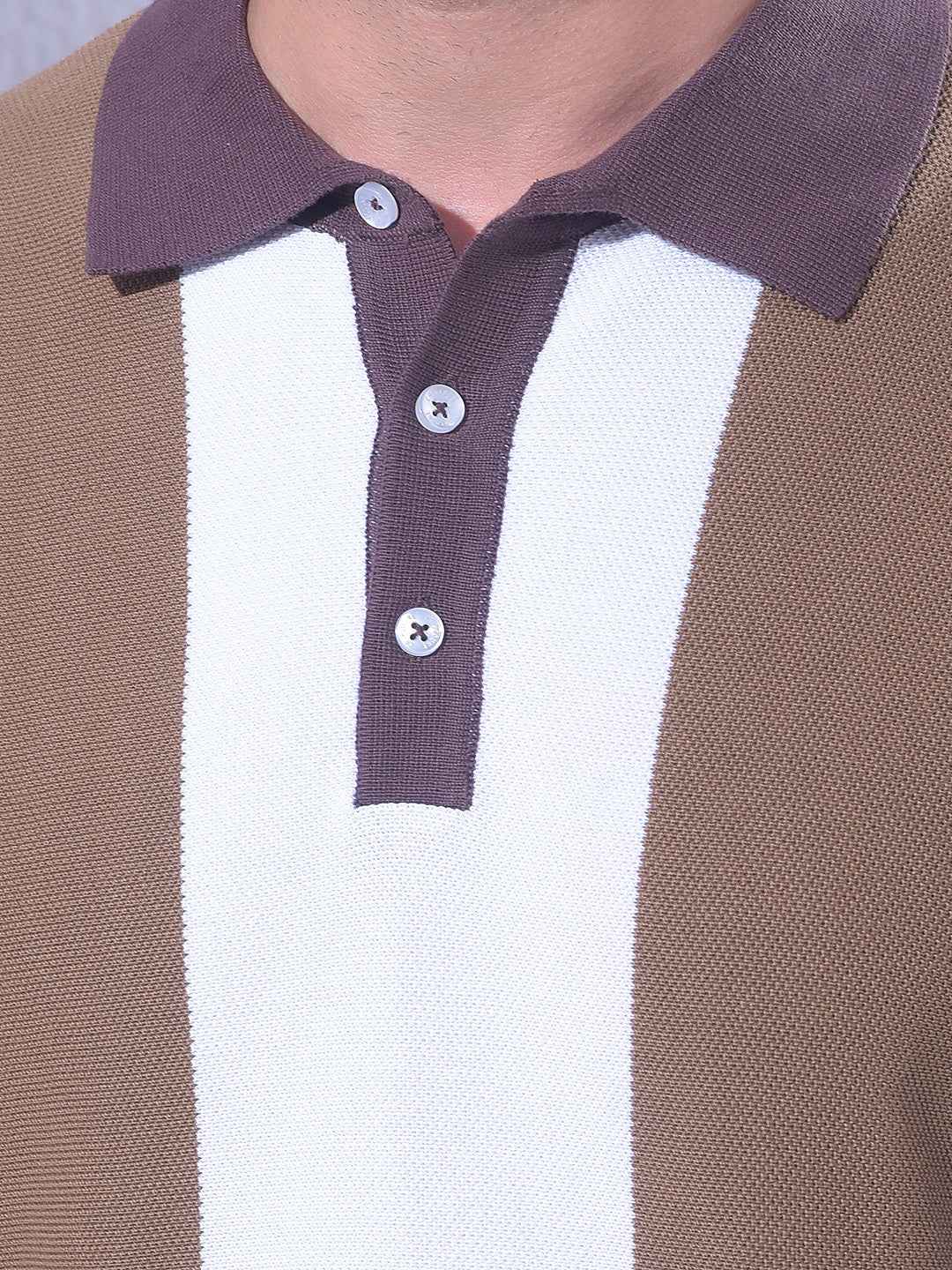 Brown Colorblocked 100% Cotton T-Shirt