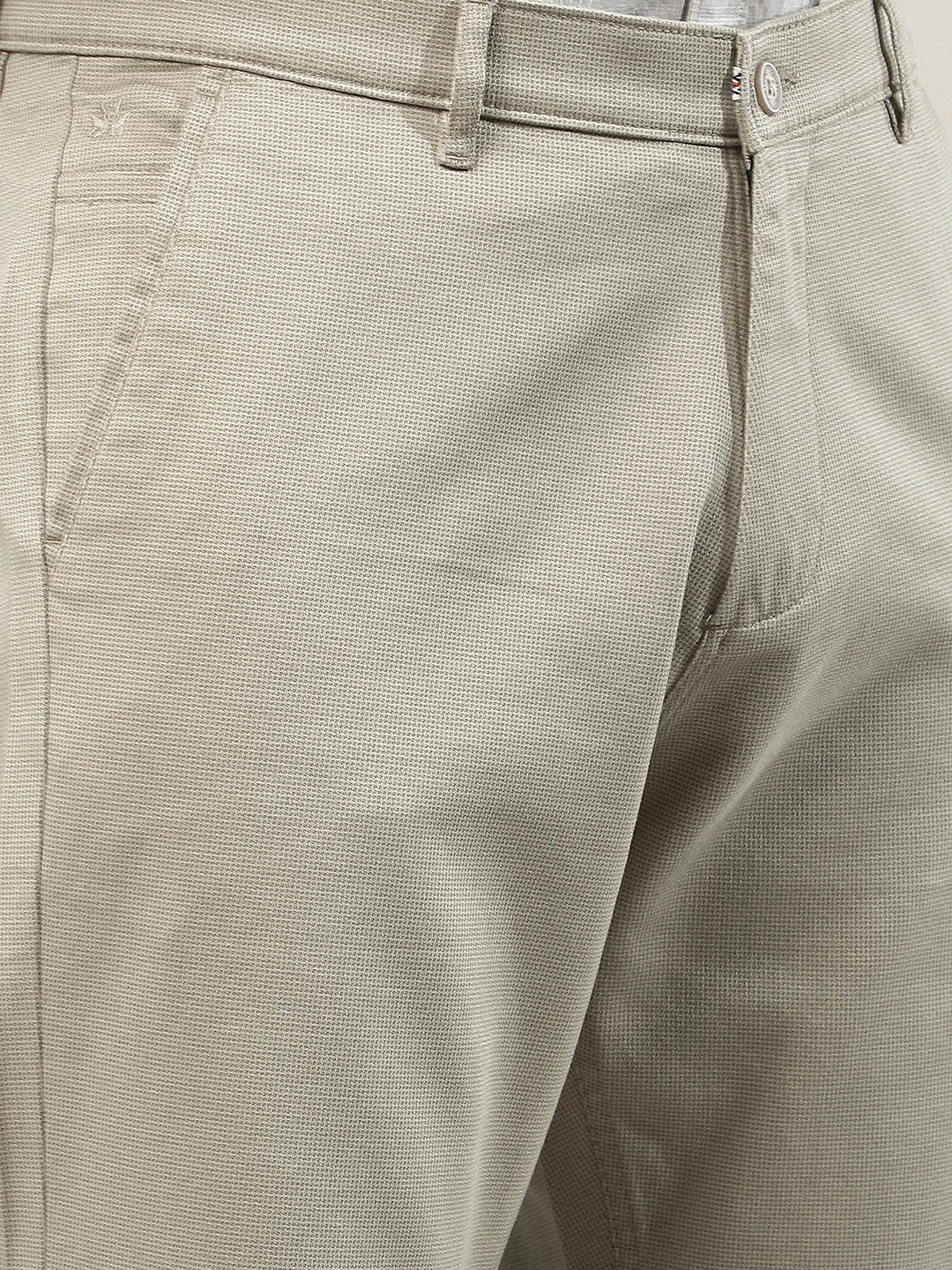Beige Classic Style Trousers