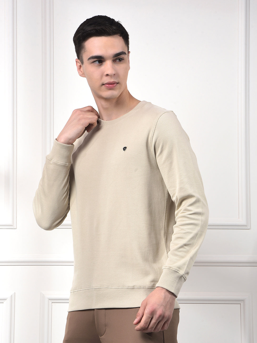 Sleek Beige 100% Cotton Sweatshirt