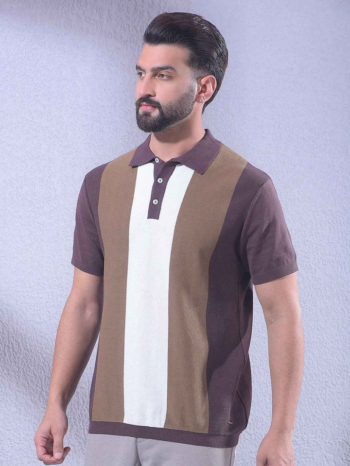 Brown Colorblocked 100% Cotton T-Shirt