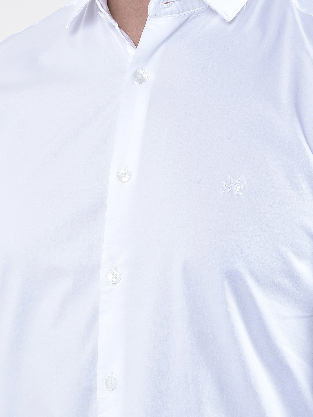 Iconic White Shirts