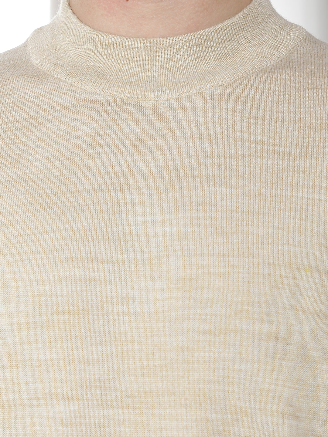 Beige High Neck Sweater
