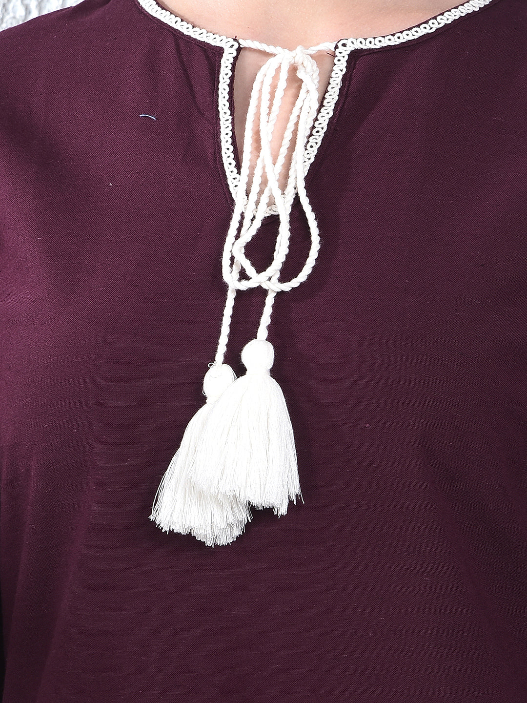 Wine Embroidered Mini Dress