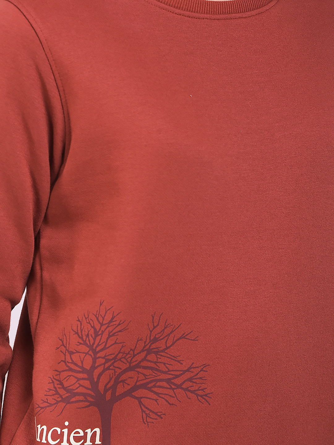 Brown Graphic Print Sweatshirt