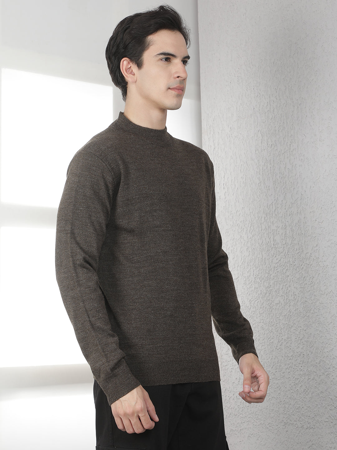 Brown High Neck Sweater