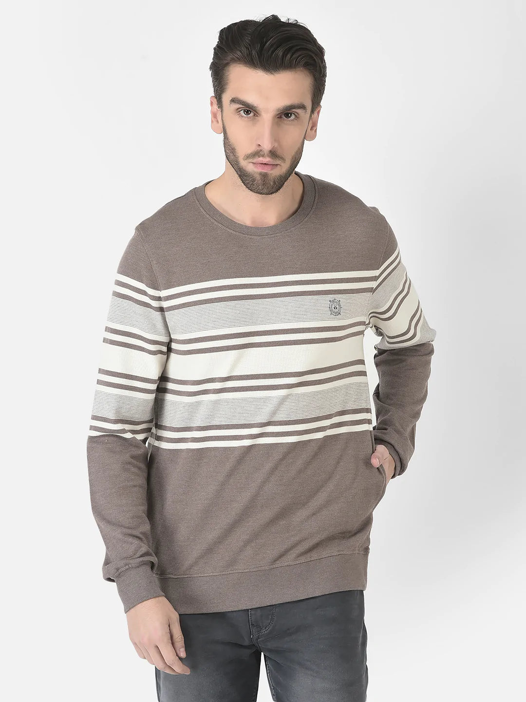  Brown Striped Sweatshirt 