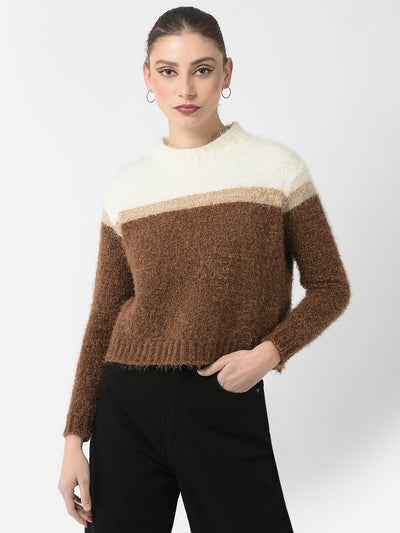  Brown Colour-Blocked Sweater 