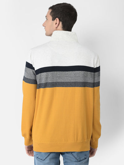  Mustard Colour-Blocked Sweatshirt