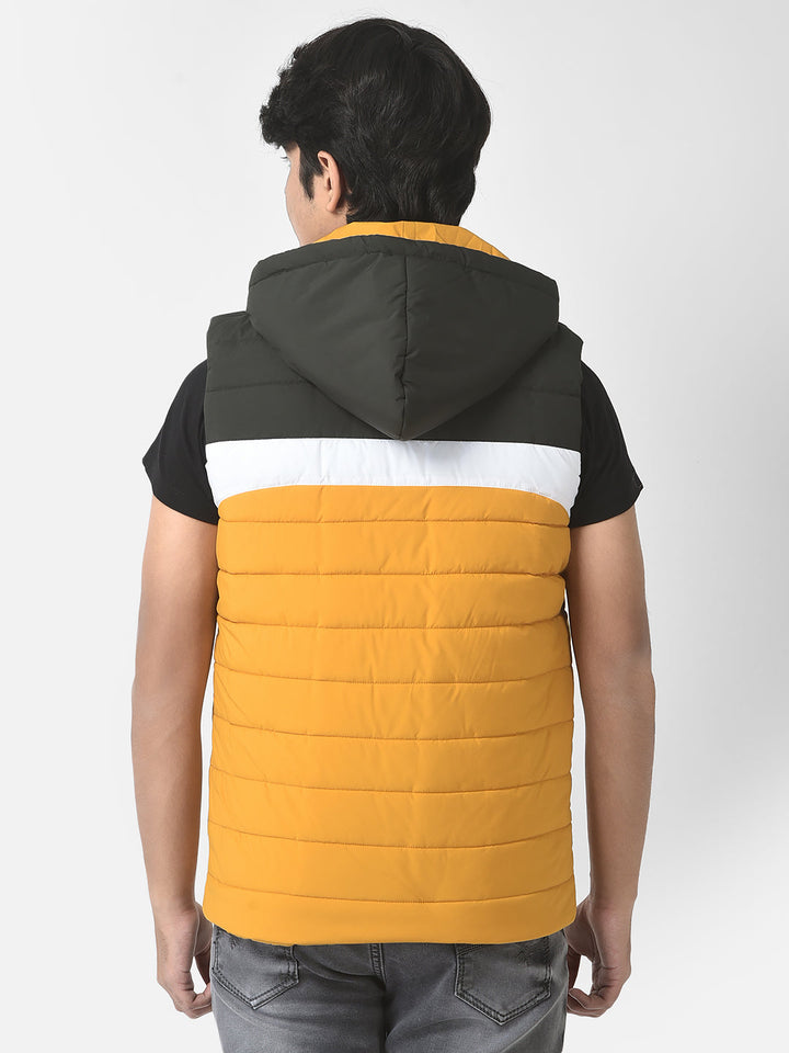  Mustard Colour-Blocked Gilet Jacket 