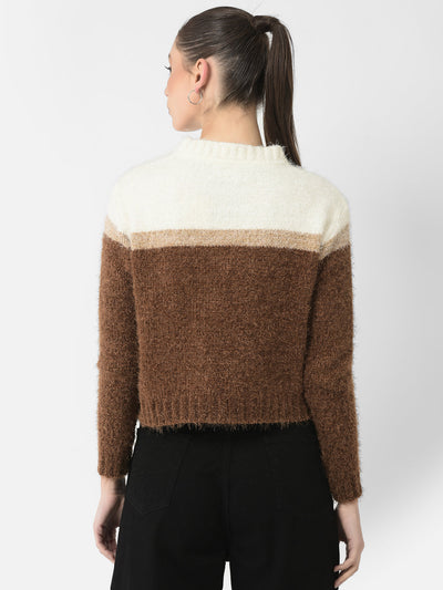  Brown Colour-Blocked Sweater 