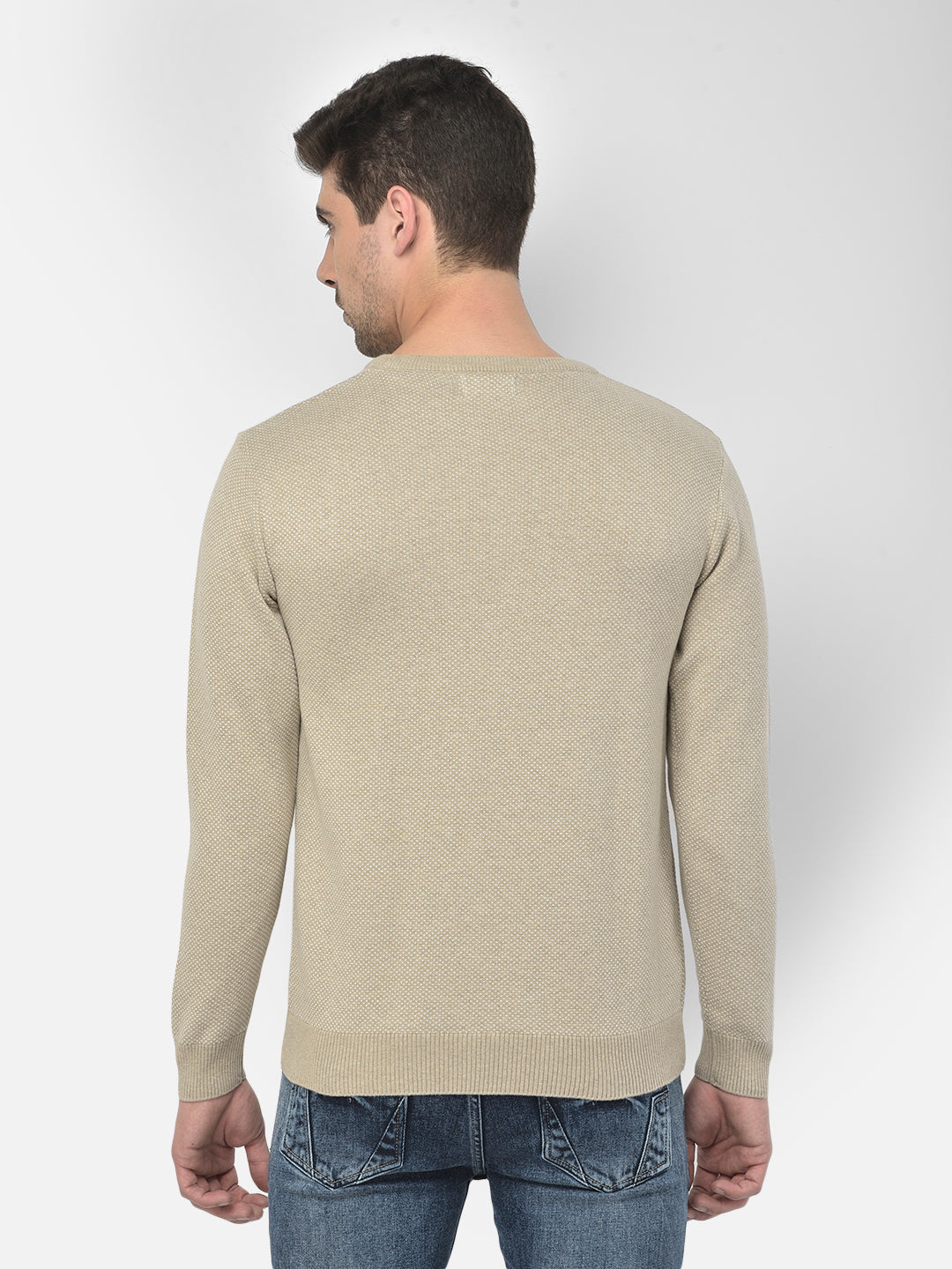 Beige Self Design Round Neck Sweater - Men Sweaters
