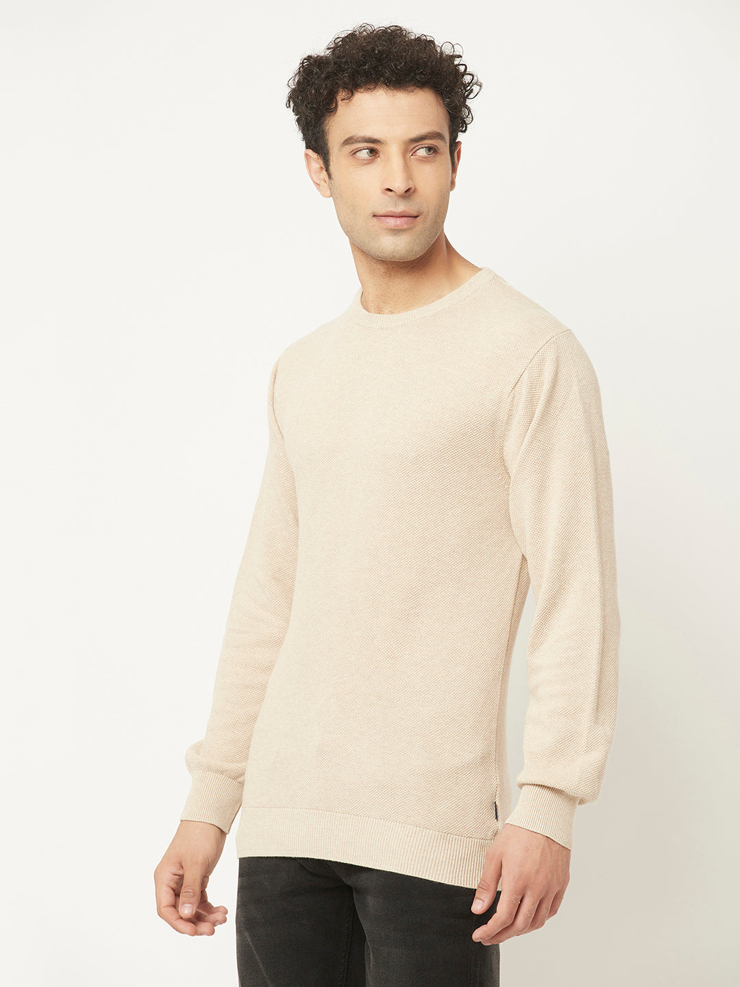 Beige Sweater in Pure Cotton-Men Sweaters-Crimsoune Club