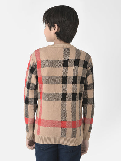  Camel Checkered Sweater