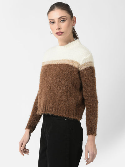  Brown Colour-Blocked Sweater 