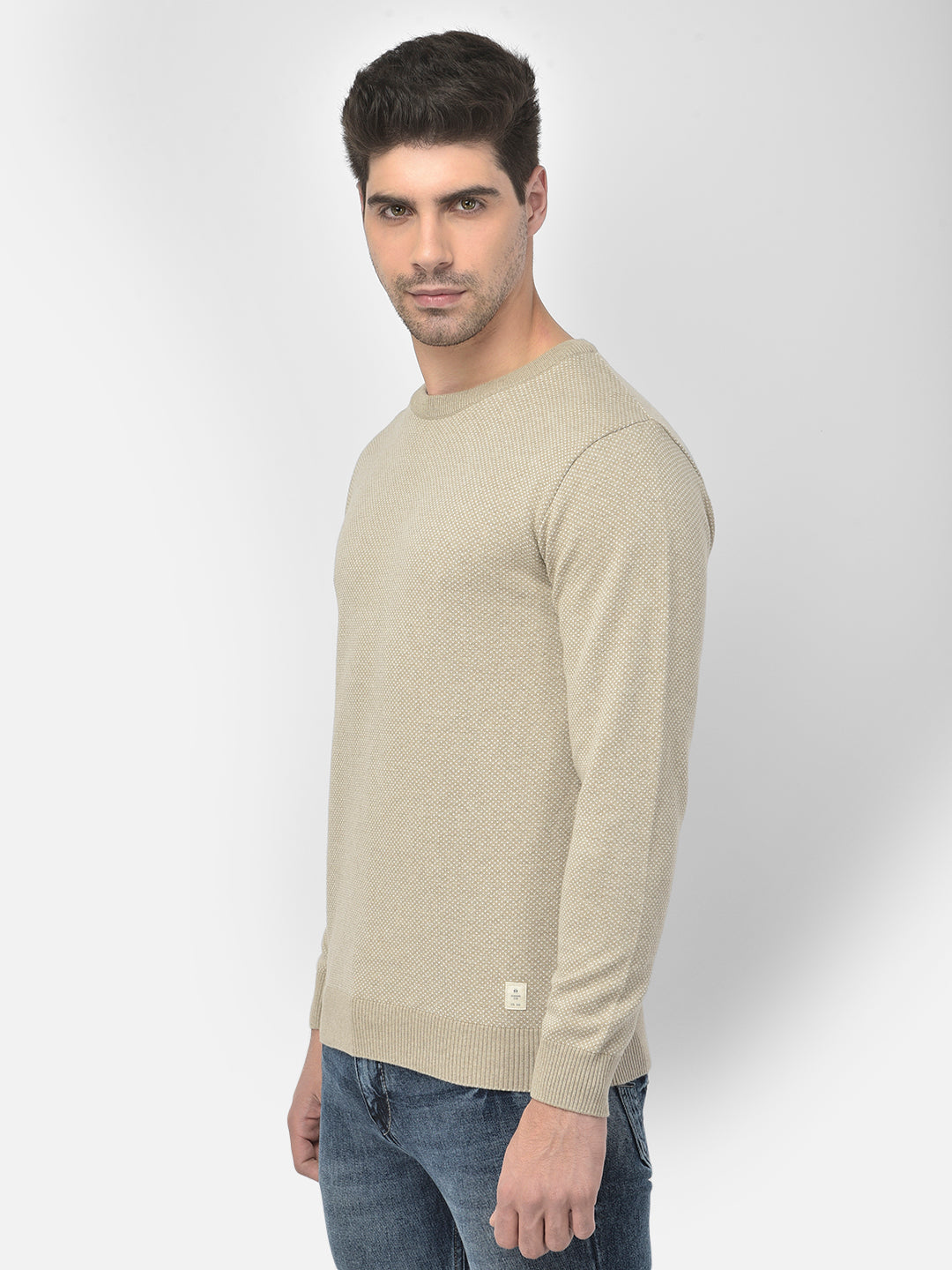 Beige Self Design Round Neck Sweater - Men Sweaters