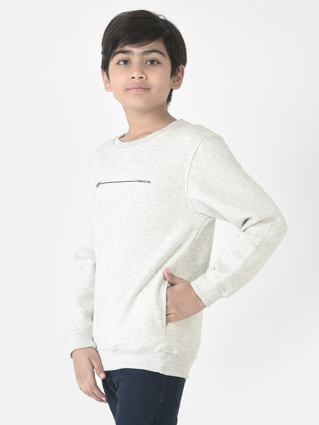  Minimalistic Light Grey Sweatshirt