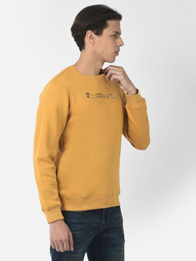 Graphic Sweatshirt in Pullover Style