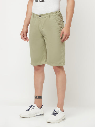 Olive Shorts - Men Shorts