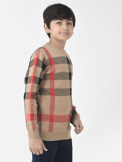  Camel Checkered Sweater