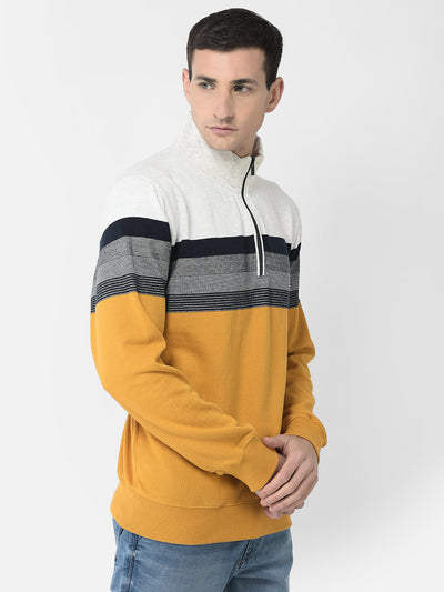  Mustard Colour-Blocked Sweatshirt