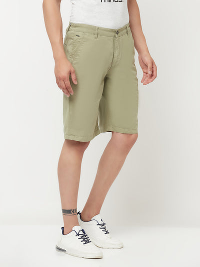 Olive Shorts - Men Shorts