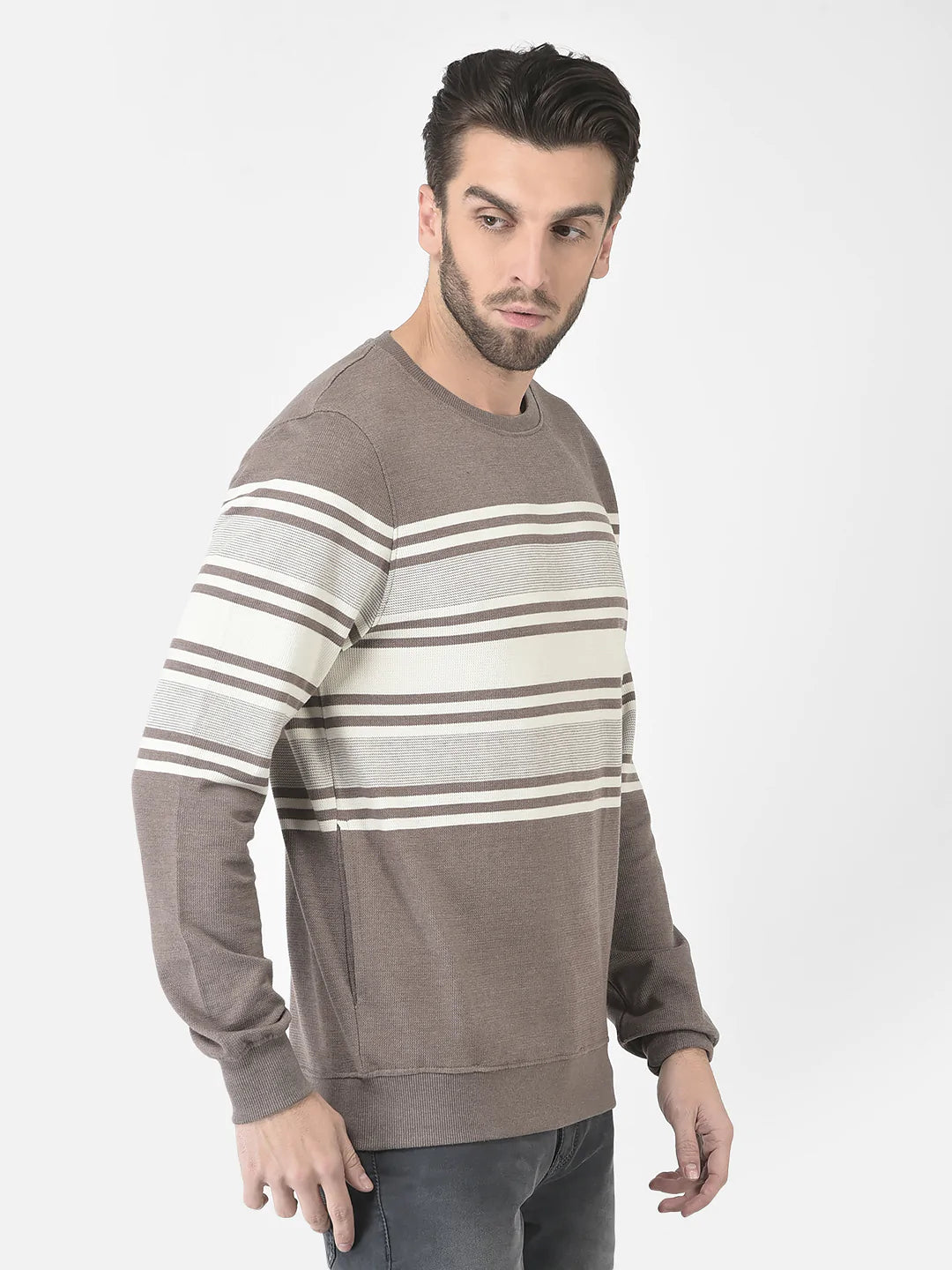  Brown Striped Sweatshirt 