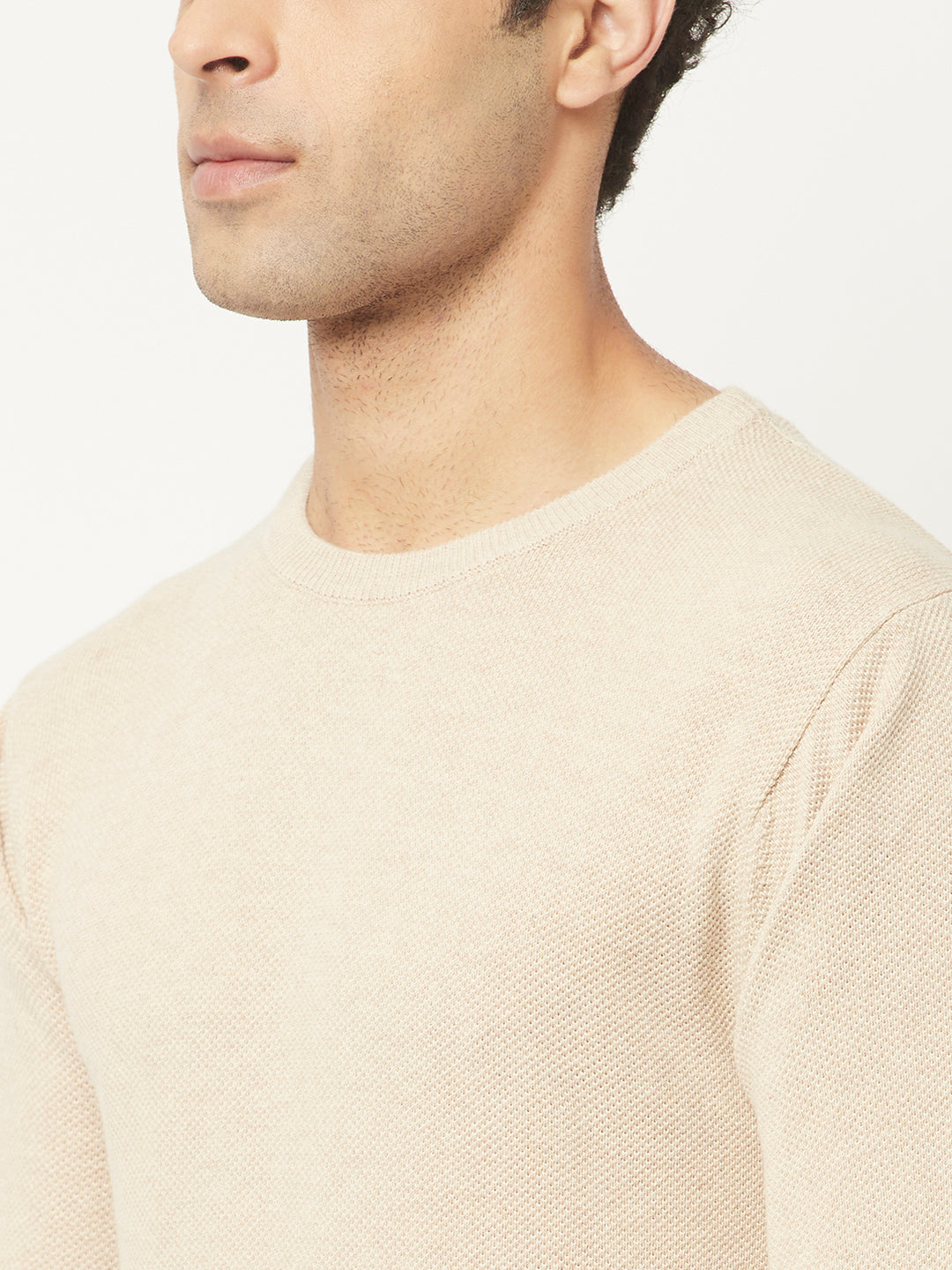 Beige Sweater in Pure Cotton-Men Sweaters-Crimsoune Club