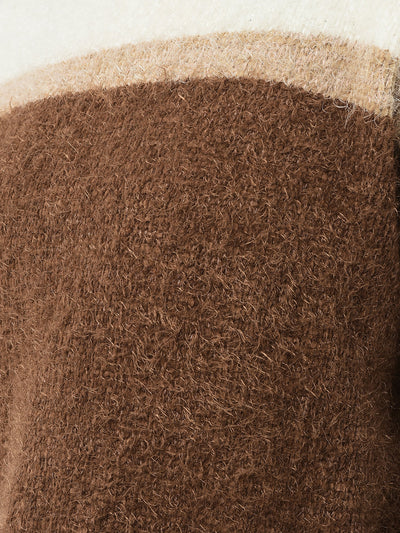  Brown Colour-Blocked Sweater 