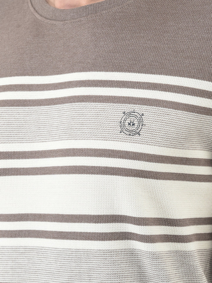  Brown Striped Sweatshirt 