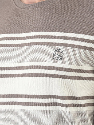  Brown Striped Sweatshirt 