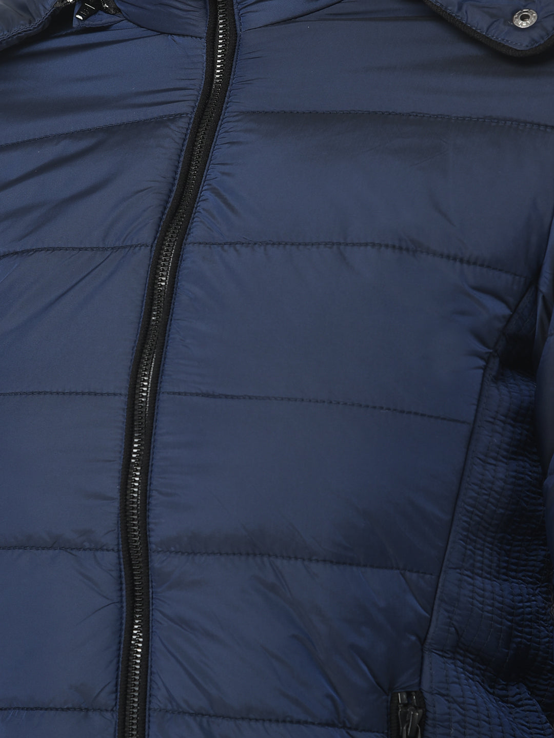 Royal Blue Padded Jacket