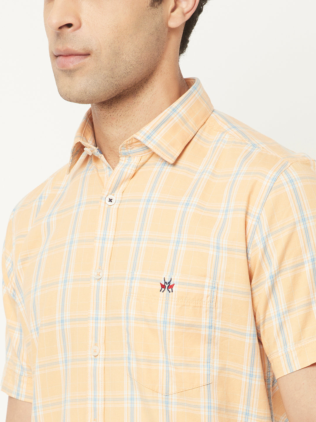   Short-Sleeved Peach Shirt in Checks