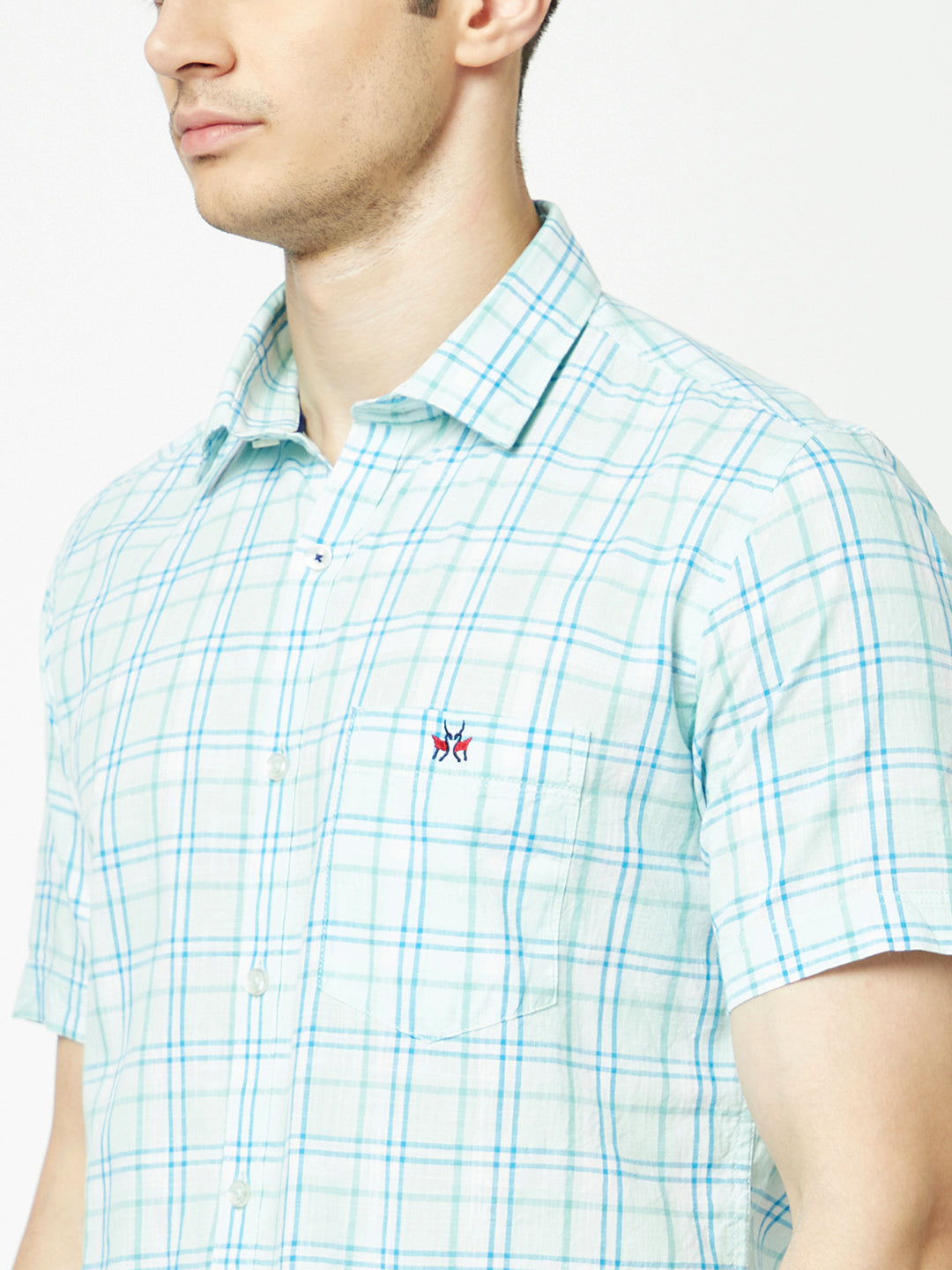  Pale Green Short-Sleeved Flannel