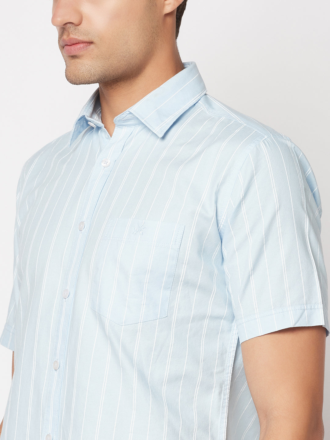  Striped Blue Shirt 