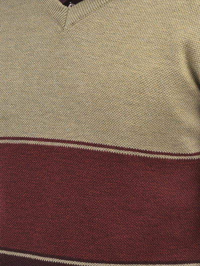 Brown Colourblocked V-Neck Sweaters.